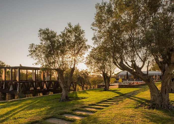 Teima, Alentejo Sw